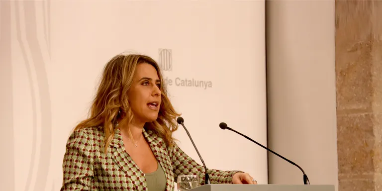 El Govern es mostra "satisfet" per la reforma del Codi Penal: "Els canvis resten força repressiva a l'Estat"