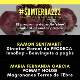 #45 - Som Terra amb Pili Garcia del 11/8/2020 - episode art