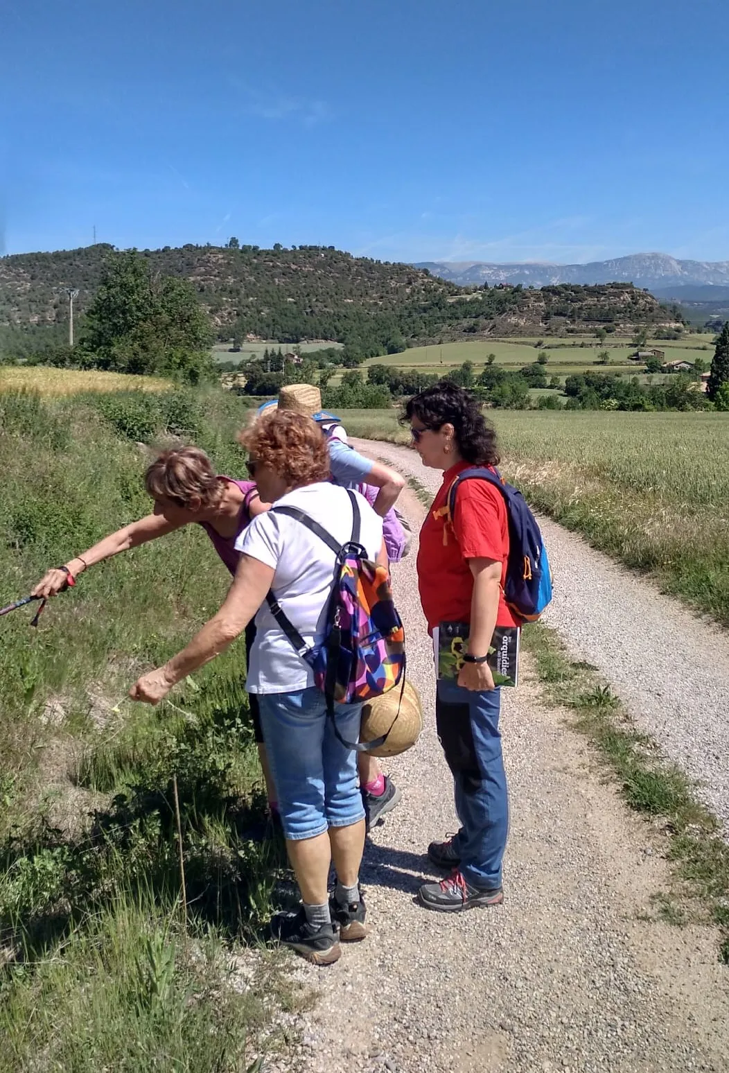 La regidoria de Drets Socials amplia les propostes per a la gent gran reprenent l'activitat de passeig per la natura