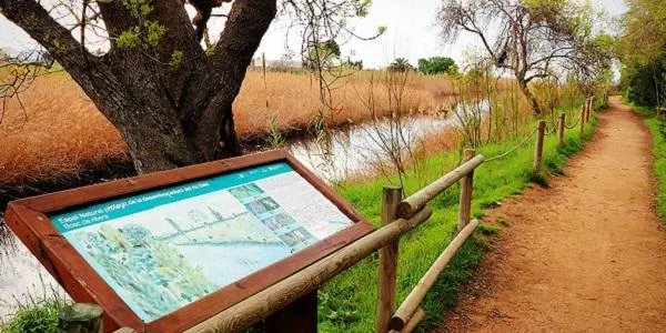 L’Hort de La Sínia d’Altafulla dona a conèixer les propietats i els usos de les plantes silvestres