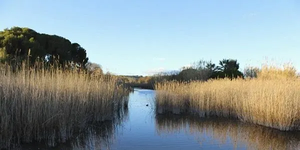 Les 1es Jornades del paisatge donaran visibilitat a la marca Baix Gaià i posaran en valor el patrimoni local