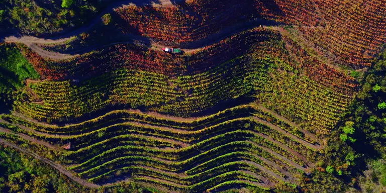 L’exposició ‘Artistes amb tractor’ del Molí de les Tres Eres, un homenatge a la pagesia