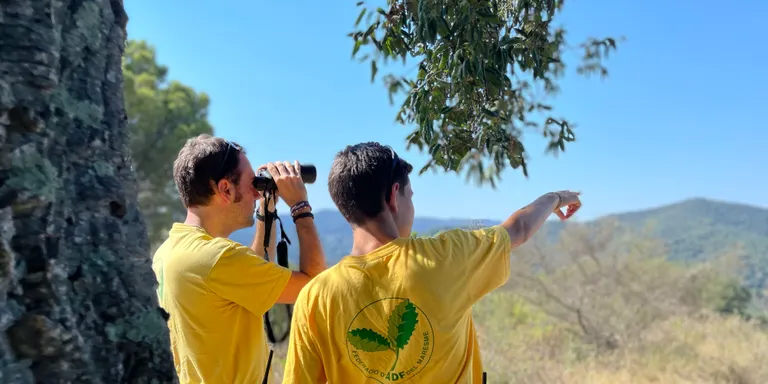 Les ADF de l'Alt Maresme obren canal de WhatsApp