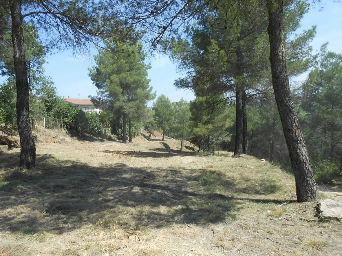 La Diputació de Barcelona destina 2,5M en neteja de vegetació a les urbanitzacions