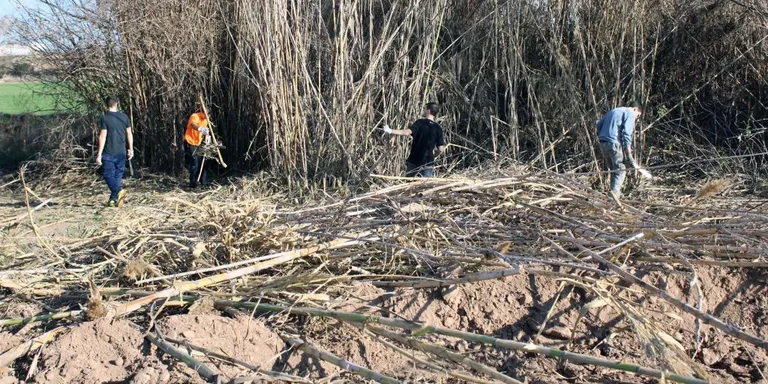 Reordenen l'accés al pàrquing del Viladàs per les restes trobades en les obres