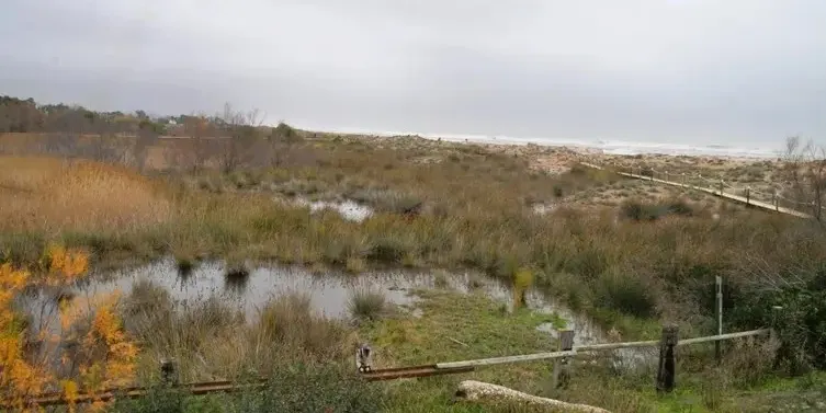 La Torre Camina planteja sortides de proximitat