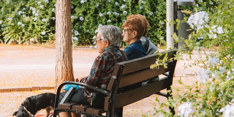 Pineda presentarà una guia per prevenir i detectar els maltractaments a la gent gran