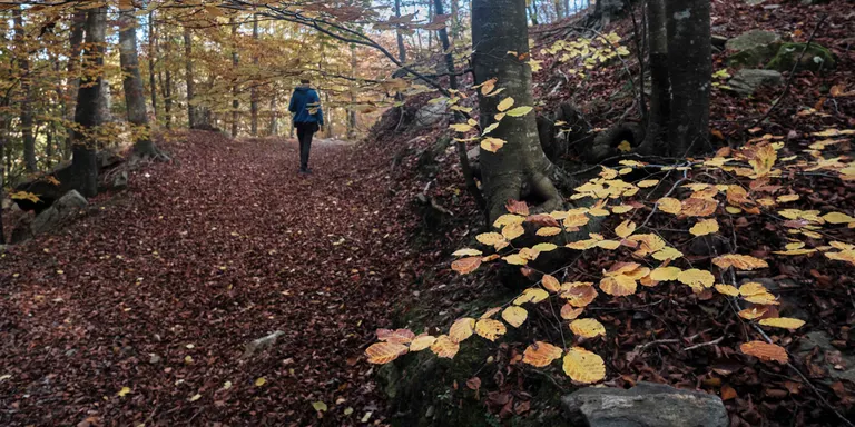 Comença el procés participatiu per fer el Pla de Protecció del Medi Natural i del Paisatge del Montseny