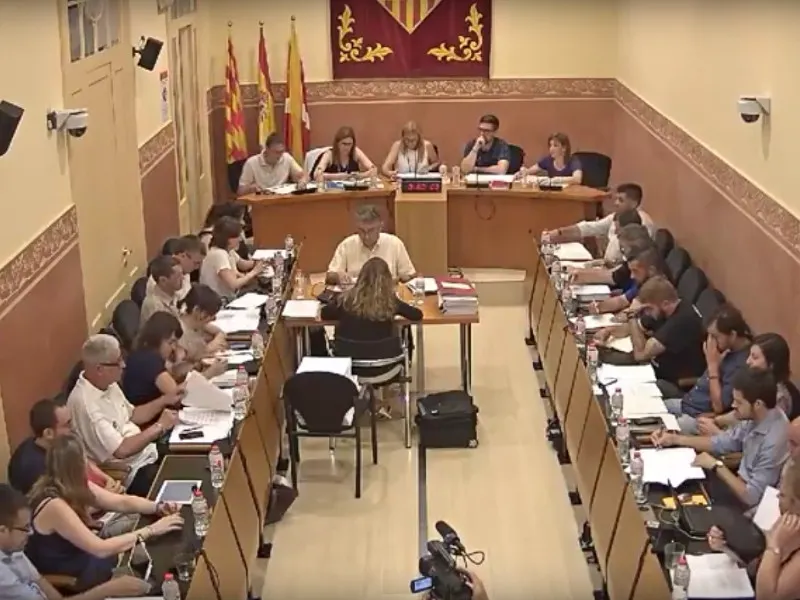 Ple ordinari juny 2017