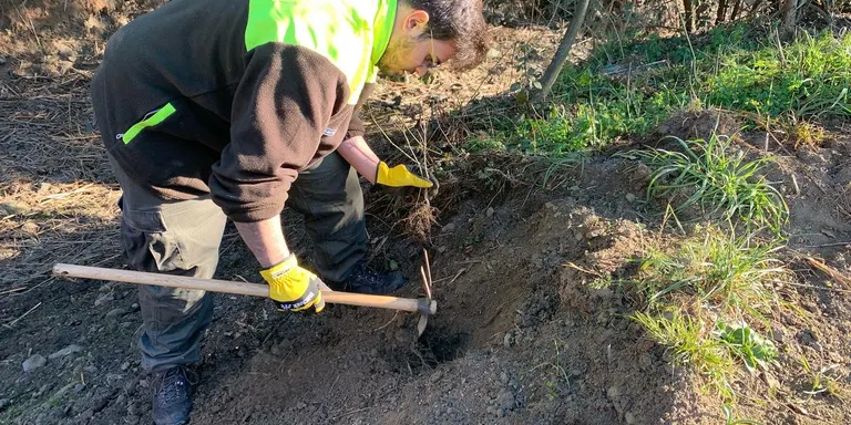 Les ADF de l'Alt Maresme planten alocs a la Riera de Santa Susanna