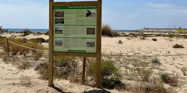 Instal·len cartelleria informativa al camp de dunes experimental de la Platja de la Paella de Torredembarra