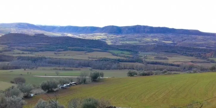 El Departament d'Agricultura efectua el pagament dels ajuts directes de la PAC del 2019