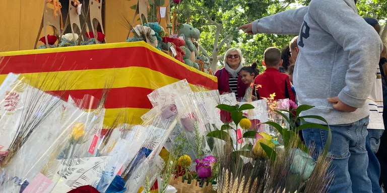 La rosa vermella torna a conquistar el Morell