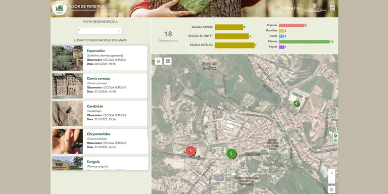 Sàmara Natura presenta el nou visor cartogràfic de la biodiversitat dels patis i l'entorn escolar
