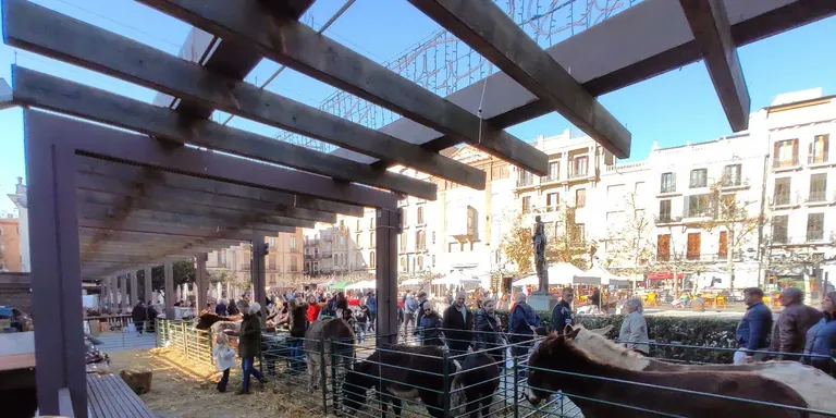 La Cambra de Valls fa un balanç positiu del Mercat de Nadal