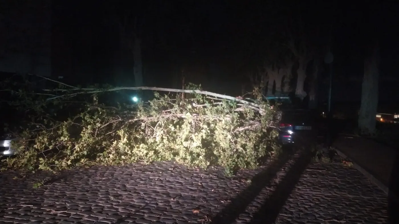 El vent fa caure arbres i branques en una desena de punts de Caldes, amb afectacions a vehicles i mobiliari urbà