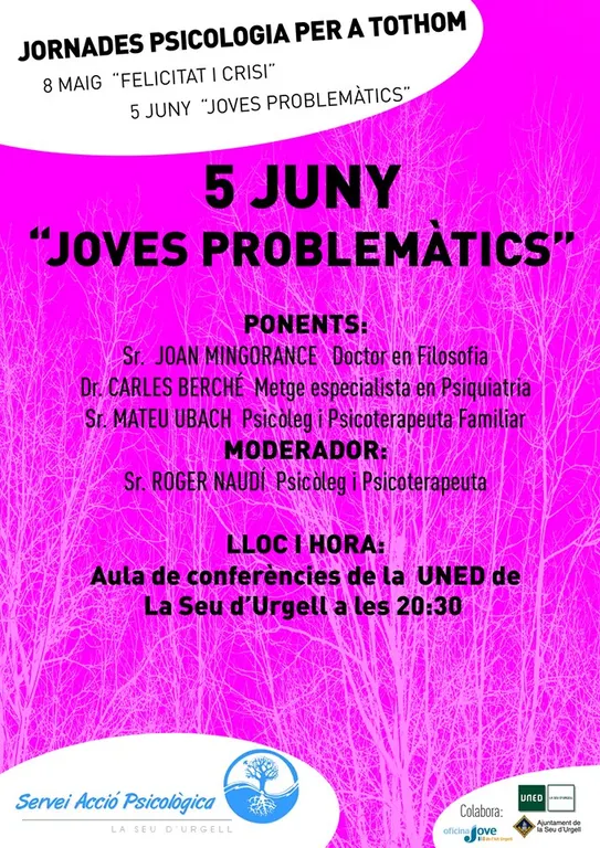 Taula rodona de Servei Acció Psicològica sobre joves problemàtics