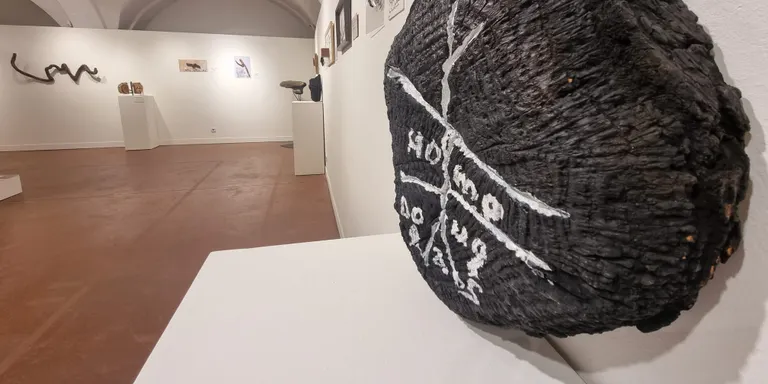 'Art de Bosc', la mostra de Martí Boada al Calisay