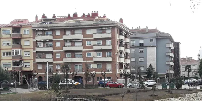 Recuperació de la vegetació de riera a la plaça del Rei