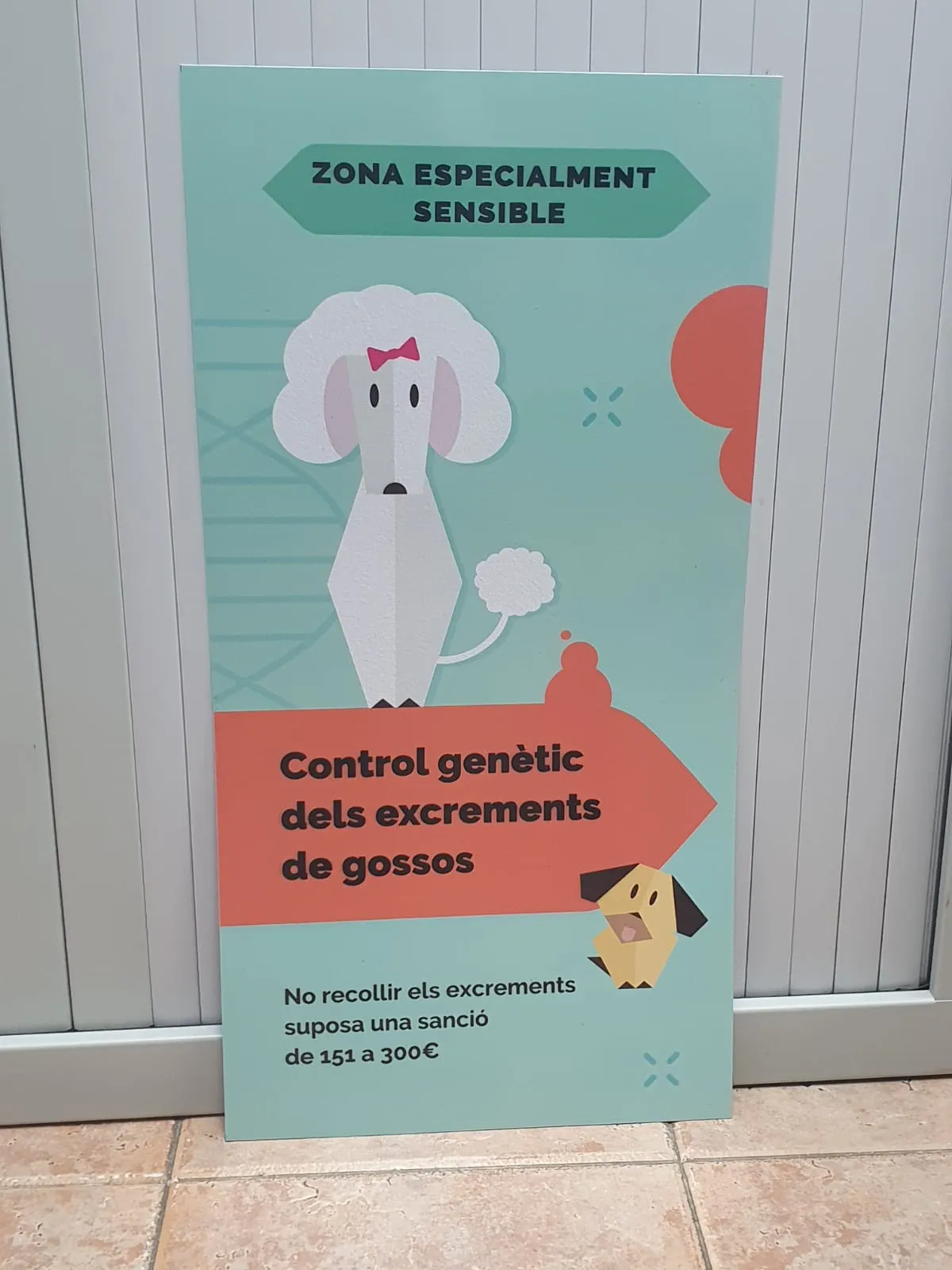 L'Ajuntament castigarà a la ciutadania que no reculli els excrements dels seus gossos