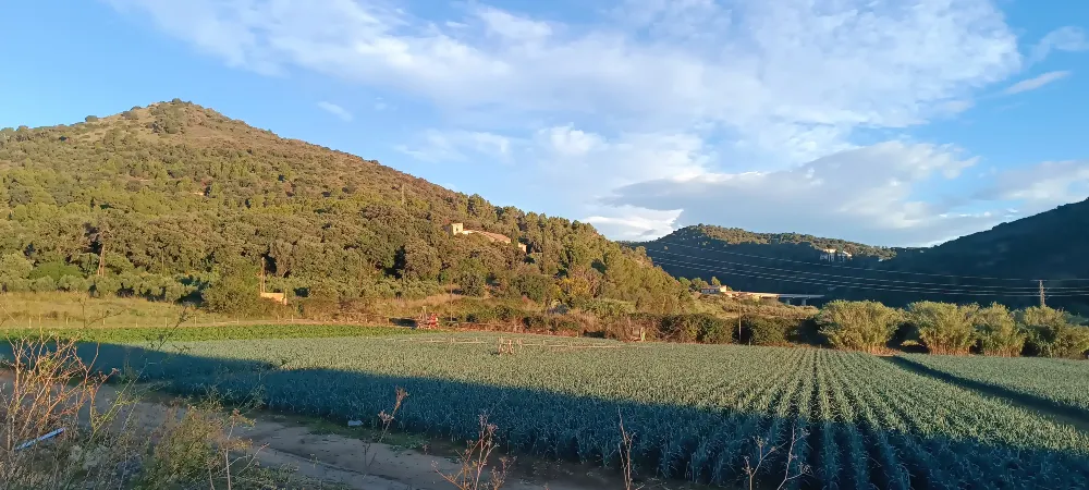 Cops de vent de 95km/h a la Riera de Pineda