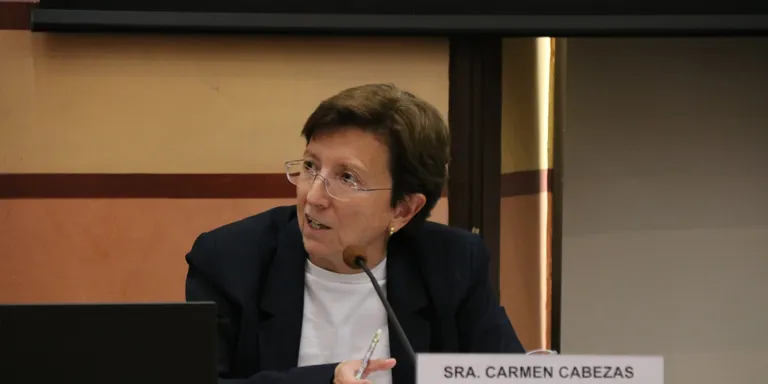 Cabezas, sobre mobilitzacions: "Els professionals són responsables i sabran què han de fer en aquesta situació de salut"