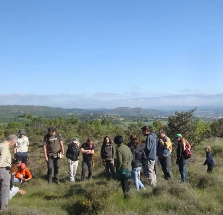 El Grup de Natura del Solsonès organitza una sortida d’orquídies i flora silvestre per commemorar la Setmana de la Natura
