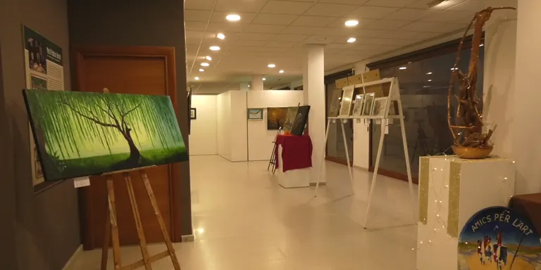 NOU REPORTATGE: L'Exposició "Art al Límit" d'Amics per l'Art es pot visitar fins al 10 de gener