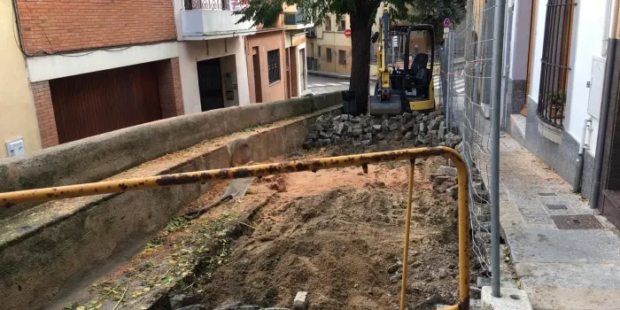L’Alcaldessa diu que les arrels dels arbres no malmeten el mur de Sa Clavella