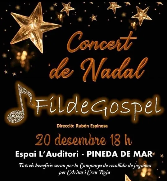 Entrades exhaurides pel concert de Nadal de Fildegospel