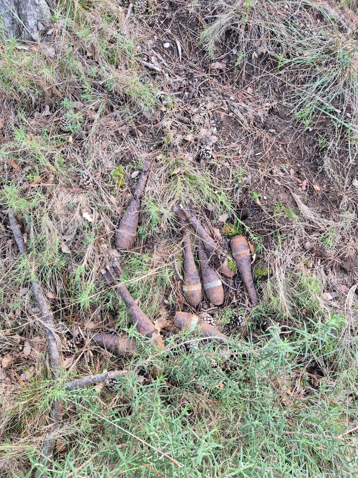 Un grup d'alumnes d'El Vinyet troba vuit bombes de la Guerra Civil a la zona de Sant Bartomeu