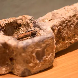 Navegant pel Museu XXXII - El cep d'àncora romana - episode art