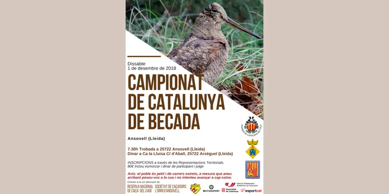 Ansovell, escenari del Campionat de Catalunya de caça de becada