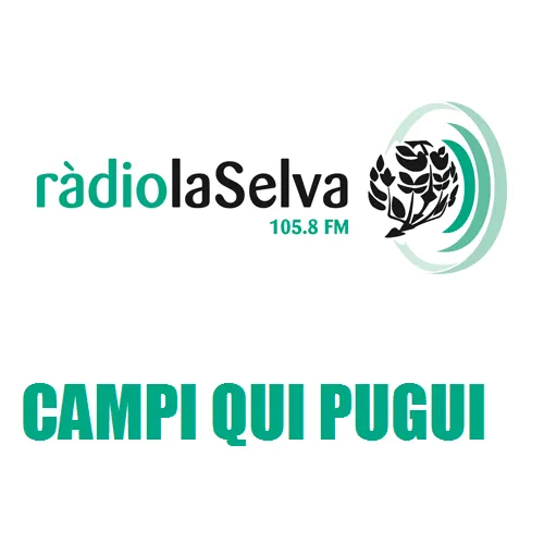 Campi qui pugui
