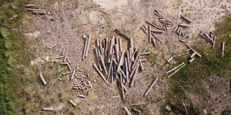 L'Associació Forestal de la Vall de Lord, inclosa a la primera convocatòria de microprojectes de cooperació transfronterera