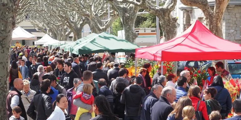 Novetats locals i generals comparteixen protagonisme per Sant Jordi a la Seu