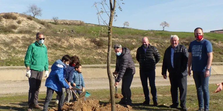 Inicien el repoblament d'arbres al Canal d'Urgell amb una plantada d'Alzineres a la primera sèquia