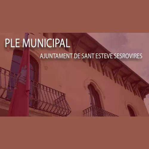 Plens municipals Sant Esteve Sesrovires