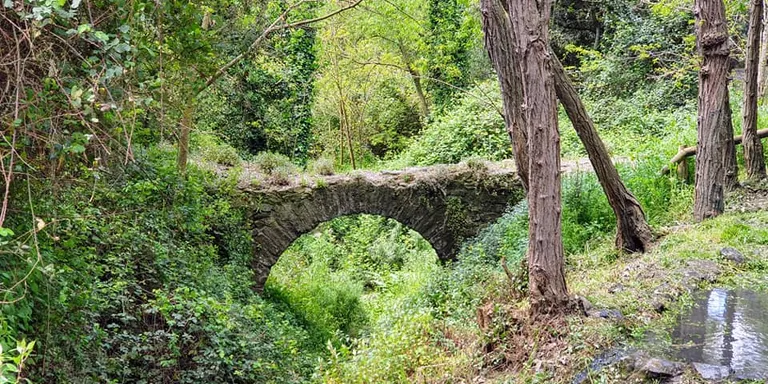Visita guiada al patrimoni arquitectònic de la Riera de Pineda