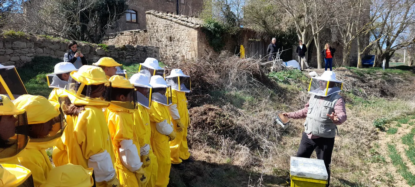 <strong>Riner rep el primer eixam d'abelles de Viladecans en el marc del projecte Redicat de recuperació i protecció de les abelles</strong>