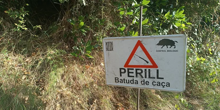 Unió de Pagesos demana que s'obri amb normalitat la temporada de caça major