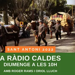 Sant Antoni 2022. Diumenge a les 10h del 23/1/2022 - episode art