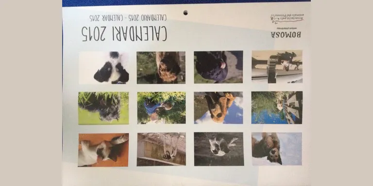 A la venda el Calendari 2015 de l'Associació pels Animals del Pirineu