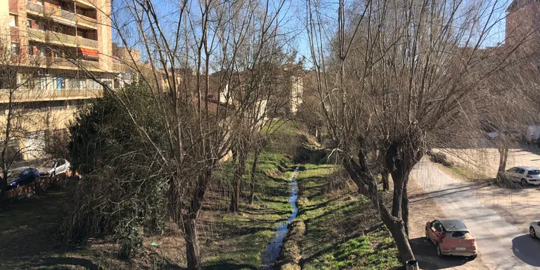 Solsona millorarà l'arbrat urbà de quatre zones de la ciutat
