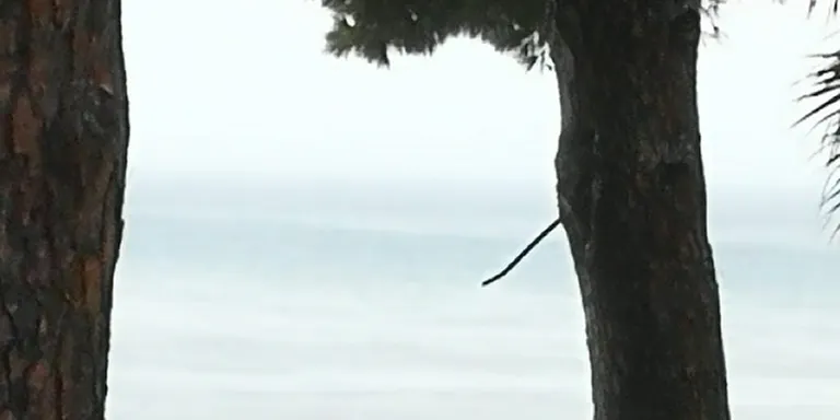La pluja provoca talls en diferents punts de Cambrils