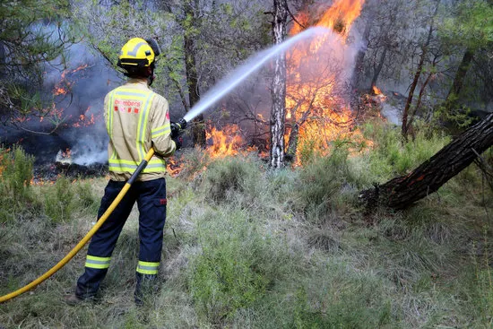 El CTFC estudia les cremes controlades dels Bombers al Solsonès per veure com afecten a la resistència dels boscos davant de plagues i sequeres