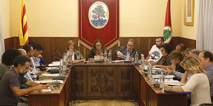 Ple amb pocs punts a l'ordre del dia