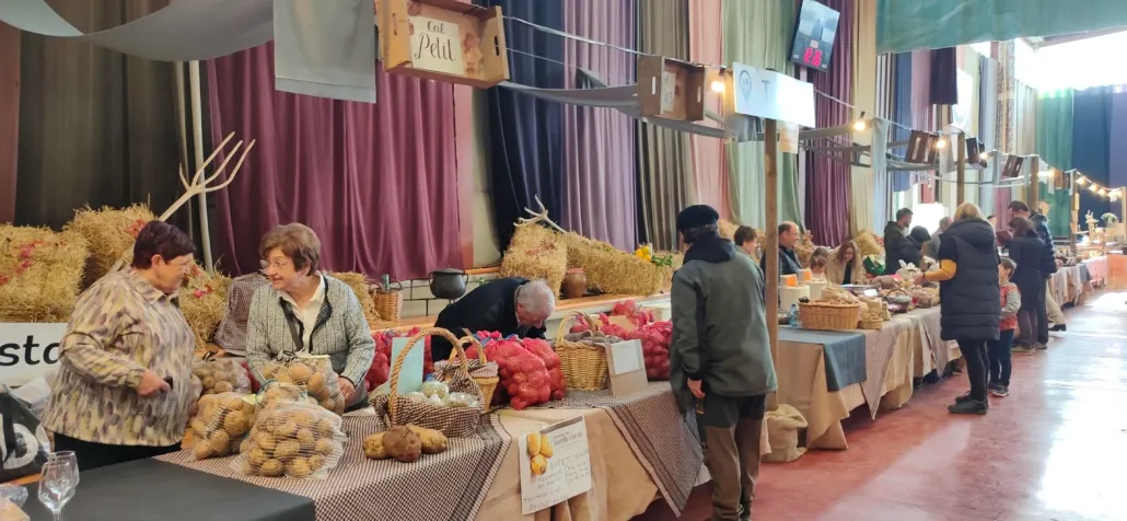 La mala collita de patates obliga a suspendre l’edició d’enguany del Mercat del Trumfo i de la Sal d’Odèn