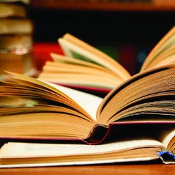 Bibliocaldes, amb Núria Puigivila del 10/3/2016 - episode art