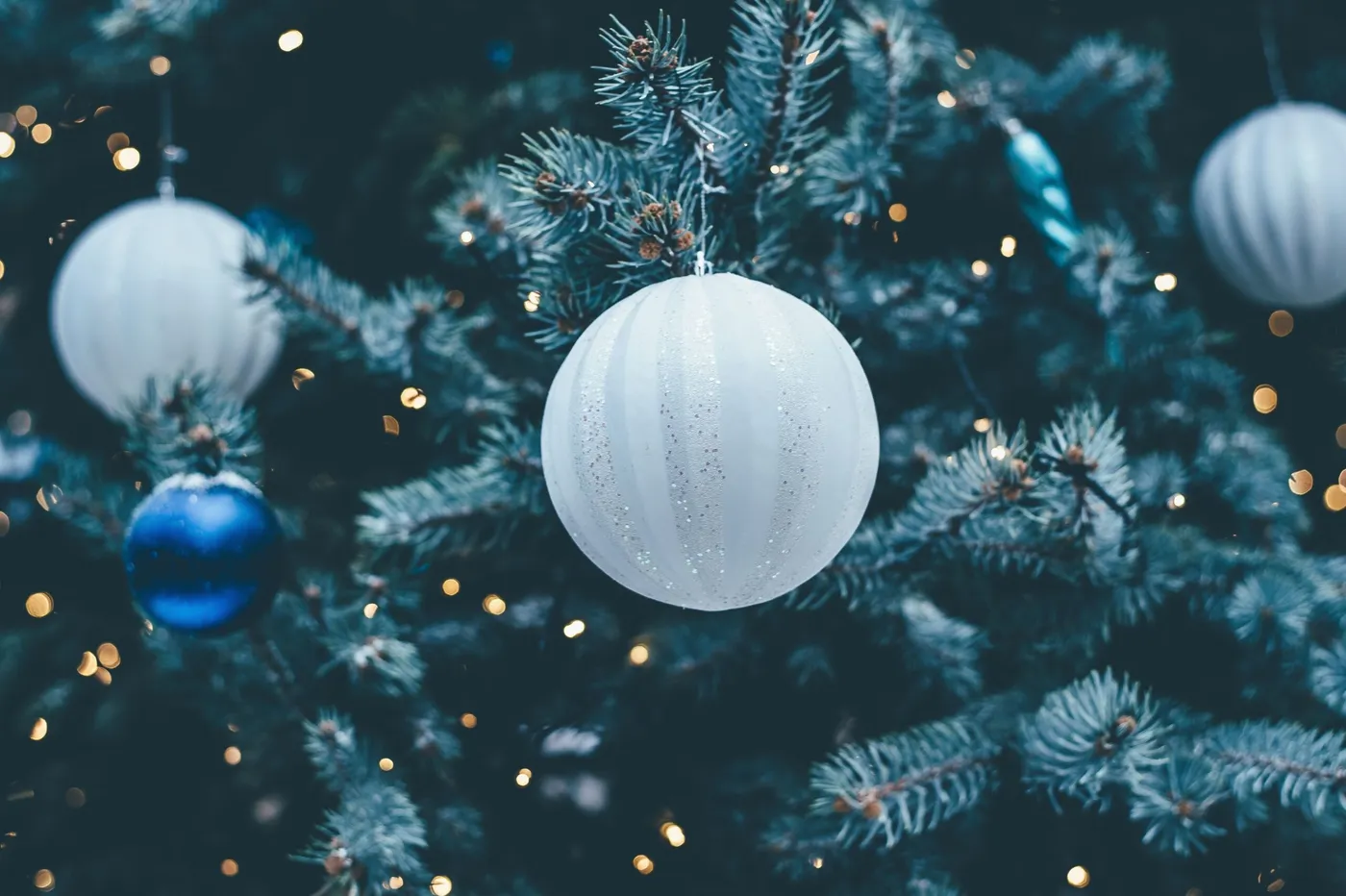 Activitats de Nadal